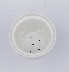 153291882_2937792386502395_3639870609127871947_n6