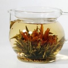 Osmanthus i Lilia